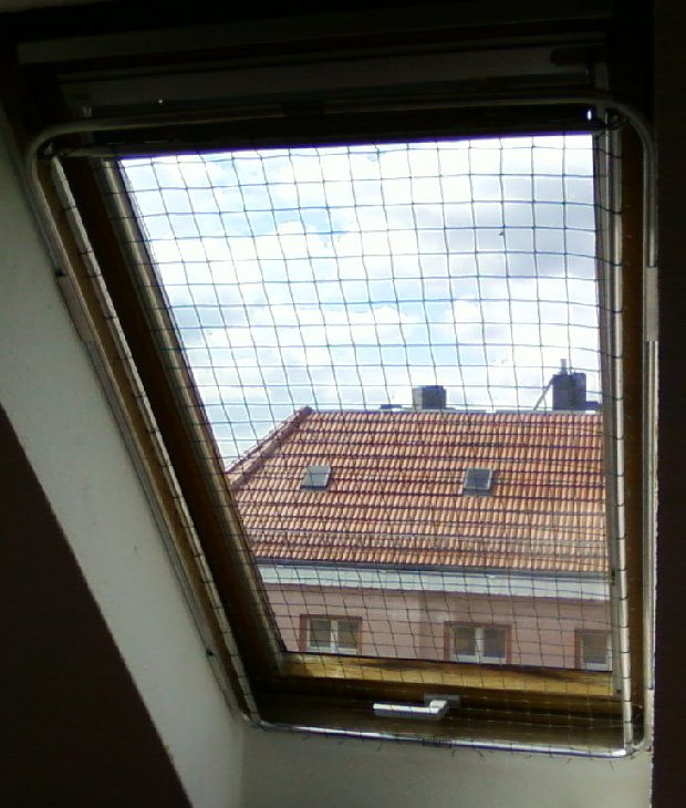 Fenster Dachschräge x