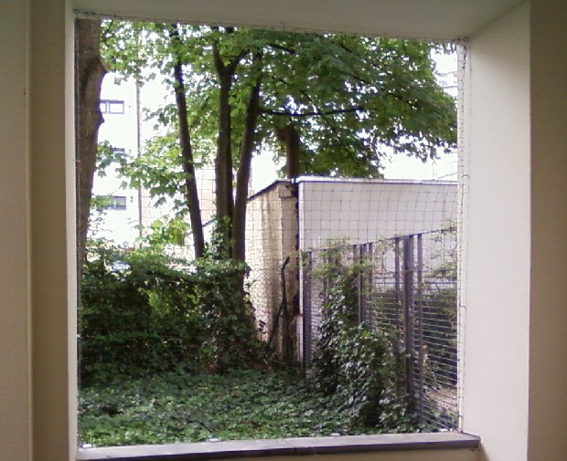 Fenster Drahtseil 2 x
